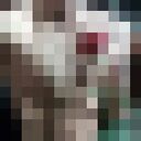  -,   , 24 ,   ,   