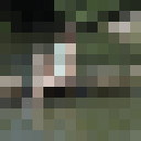  ,   , 43 ,  