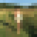 ���������� ������� �����, ���� ������� �������, 37 ���, ������������ ��� ������, ����� � ���������, c�������� ���������