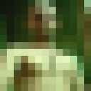  -,   , 43 ,     , c , 