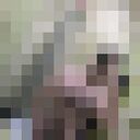 ���������� ������, ���� ������� �����, 33 ����, ������������ ��� ������, ����� � ���������