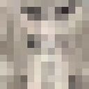 ���������� ���������, ���� ������� ����, 36 ���, ������������ ��� ������, ����� � ���������