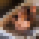  -,   , 22 ,   ,   