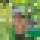 ���������� �������, ���� ������� ��������, 50 ���, ������������ ��� ������, ����� � ���������