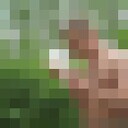 ���������� �����������, ���� ������� ���������, 42 ����, ������������ ��� ������, ����� � ���������, c�������� ���������