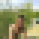  --,   , 41 ,   