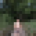  ,   , 29 ,   ,   , c , 