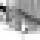  ,   ORXAN, 39 ,     , c 