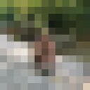 ���������� ������, ���� ������� �����, 39 ���, ������������ ��� ������, ���������