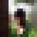 ���������� ������-��-����, ���� ������� ����������, 40 ���, ������������ ��� ������, ����� � ���������, c�������� ���������