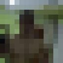  ,   Erik, 33 ,   ,   