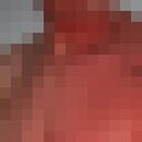 ���������� �����������, ���� ����� �����, 24 ����, ������������ ��� ������, c�������� ���������, ���������