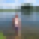  -,   , 44 ,   ,   , c 
