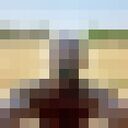  ,   ABDU, 31 ,   ,   , c , 