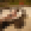 ���������� ������, ���� ������� �ima, 35 ���, ������������ 