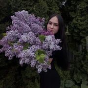 ���������� ������, ���� ������� ���������, 23 ����, ������������ ��� ������, ����� � ���������