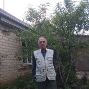  ,   , 71 ,     , c 
