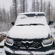 ���������� �����������, ���� ������� �������, 44 ����, ������������ ��� c�������� ���������