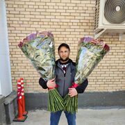  ,   , 34 ,   ,   , c 