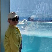  ,   , 57 ,   ,   