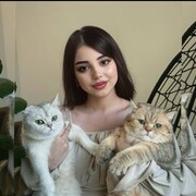 ���������� ������, �����