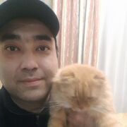 ���������� �������, ���� ������� Timic, 36 ���, ������������ ��� ������, ����� � ���������