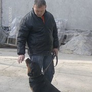  ,   , 52 ,   ,   , c , 