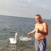  ,   , 54 ,   ,   , 