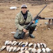 ���������� ������, ���� ������� ����������, 31 ���, ������������ ��� ������, ����� � ���������