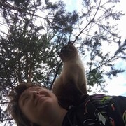  ,   , 48 ,   c 
