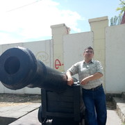 ���������� ��������, ���� ������� Alim, 36 ���, ������������ ��� ������, ����� � ���������, c�������� ���������