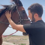 ���������� ������, ���� ������� ���������, 31 ���, ������������ ��� ������, ����� � ���������