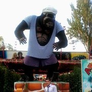 ���������� ��������������, ���� ������� Murat, 34 ����, ������������ ��� ������