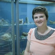 ���������� ���������, ���� ������� �������, 48 ���, ������������ ��� ����� � ���������, c�������� ���������