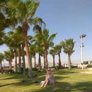 ���������� �����, ���� ������� NATALI, 44 ����, ������������ ��� ������, ����� � ���������