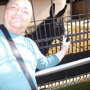 ���������� ������, ���� ������� �������, 50 ���, ������������ ��� ������, ����� � ���������, c�������� ���������