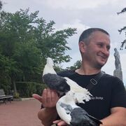 ���������� ��������������, ���� ������� �������, 45 ���, ������������ ��� c�������� ���������