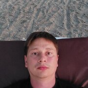 ���������� ������, ���� ������� BoB Cavalli, 40 ���, ������������ ��� ������, ����� � ���������, c�������� ���������