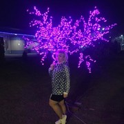 ���������� ��������, ���� ������� ��������, 43 ����, ������������ ��� ������, ����� � ���������, c�������� ���������