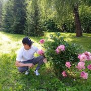 ���������� ������, ���� ������� Nodirbek, 29 ���, ������������ ��� ������, ����� � ���������