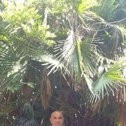 ���������� �������, ���� ������� ������, 58 ���, ������������ ��� c�������� ���������