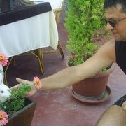  Backa Topola,   Kalabasterbg, 51 ,   
