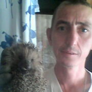 ���������� �������, ���� ������� ���������, 43 ����, ������������ ��� ����� � ���������, c�������� ���������