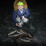 ���������� ������, ���� ������� ������, 44 ����, ������������ ��� ������, ����� � ���������, c�������� ���������