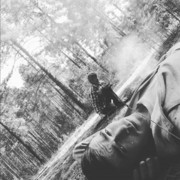  ,   Salavat, 36 ,   ,   , c 
