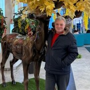  ,   , 52 ,   ,   , c , 