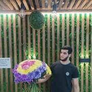 ���������� ���������, ���� ������� �����, 29 ���, ������������ ��� ������, ����� � ���������