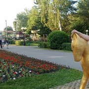 ���������� ��������, ���� ������� ������, 37 ���, ������������ ��� ������, ����� � ���������