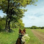 ���������� ������ �����, ���� ������� �����, 50 ���, ������������ ��� ������, ����� � ���������, c�������� ���������