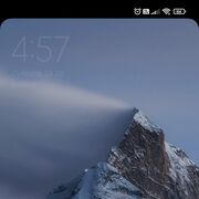  ,  , 41